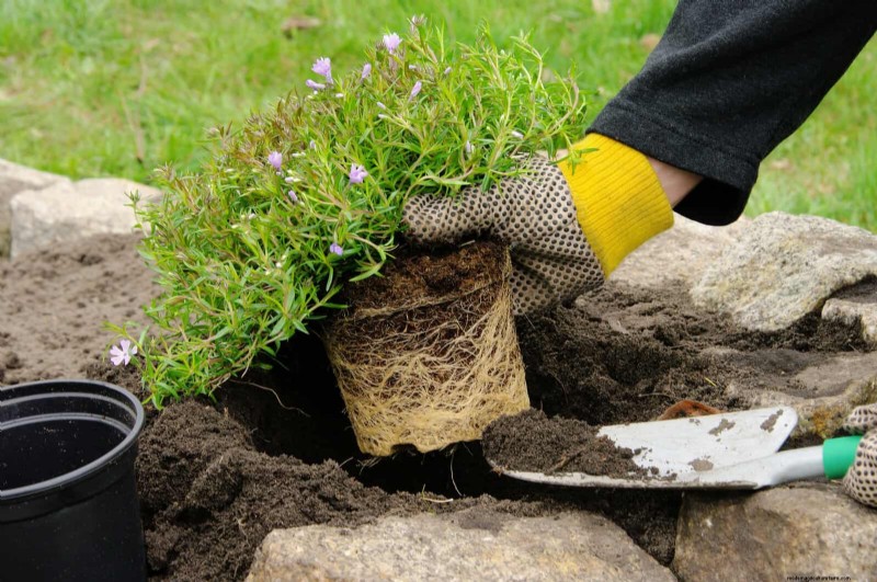 30 Essential March Garden Tasks to Kickstart a Lush Spring Yard