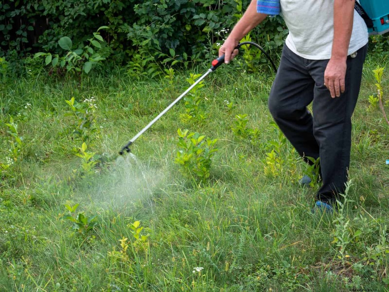 30 Essential March Garden Tasks to Kickstart a Lush Spring Yard