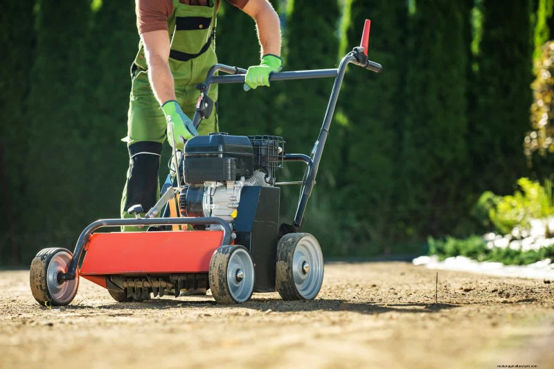 30 Essential March Garden Tasks to Kickstart a Lush Spring Yard