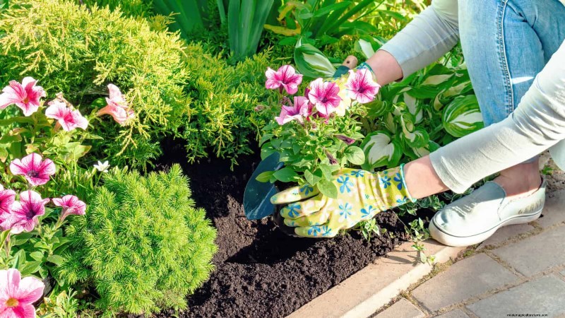 30 Essential March Garden Tasks to Kickstart a Lush Spring Yard