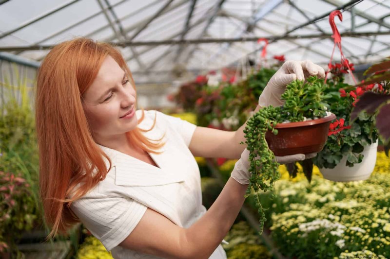 21 Proven Natural Ways to Keep Indoor Plant Pests at Bay