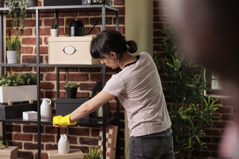21 Proven Natural Ways to Keep Indoor Plant Pests at Bay