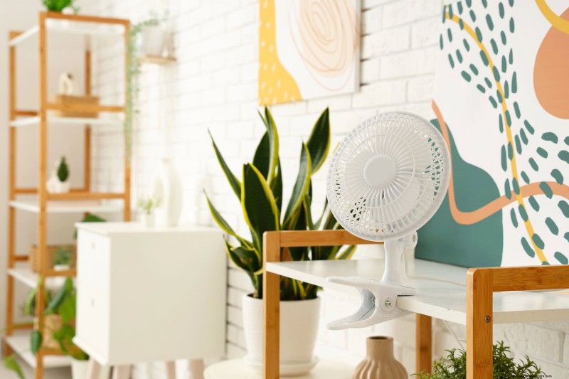 21 Proven Natural Ways to Keep Indoor Plant Pests at Bay