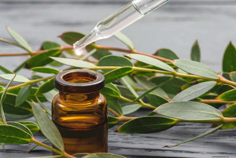21 Proven Natural Ways to Keep Indoor Plant Pests at Bay