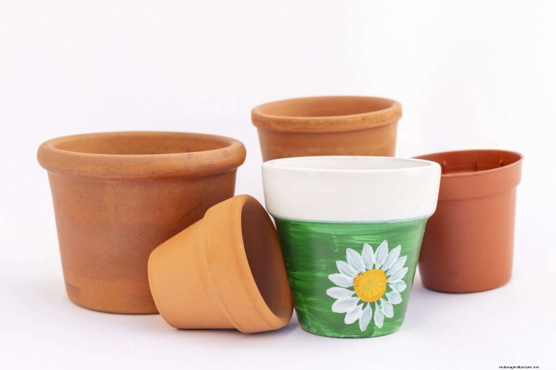 21 Proven Natural Ways to Keep Indoor Plant Pests at Bay