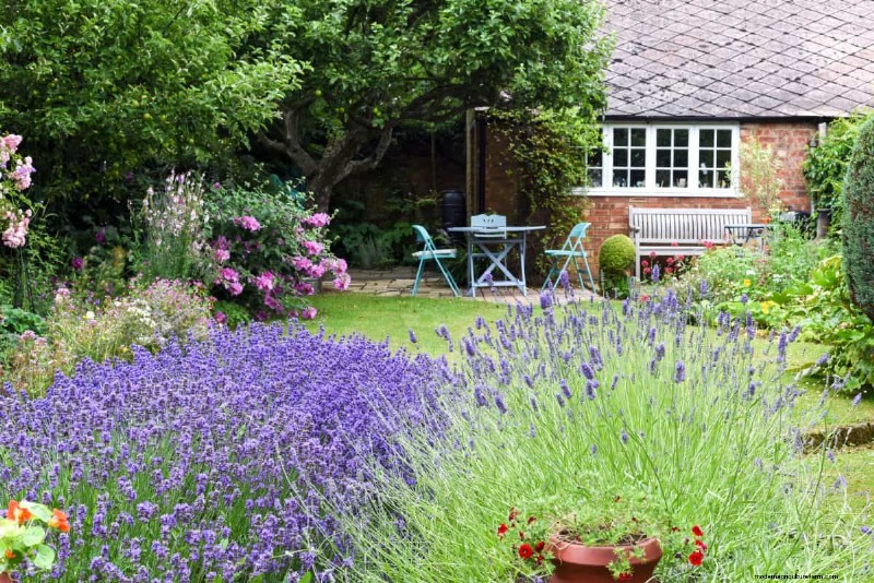Why Traditional Lawns Are Becoming Obsolete – 30 Proven Reasons and Sustainable Alternatives