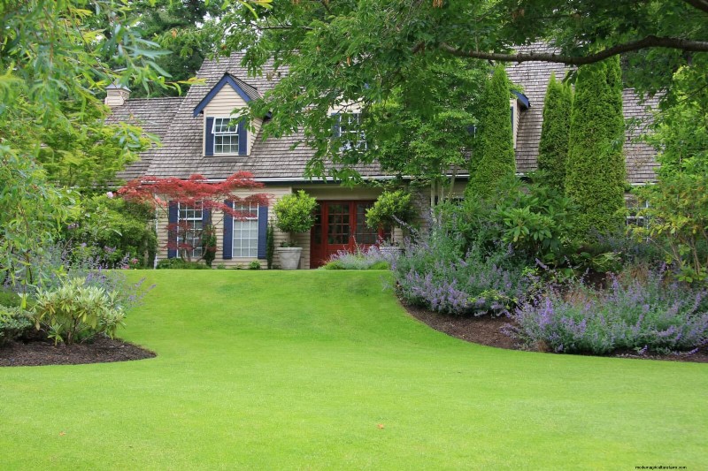 Why Traditional Lawns Are Becoming Obsolete – 30 Proven Reasons and Sustainable Alternatives