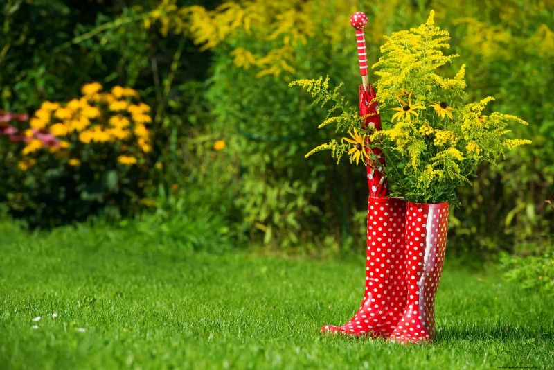 Why Traditional Lawns Are Becoming Obsolete – 30 Proven Reasons and Sustainable Alternatives