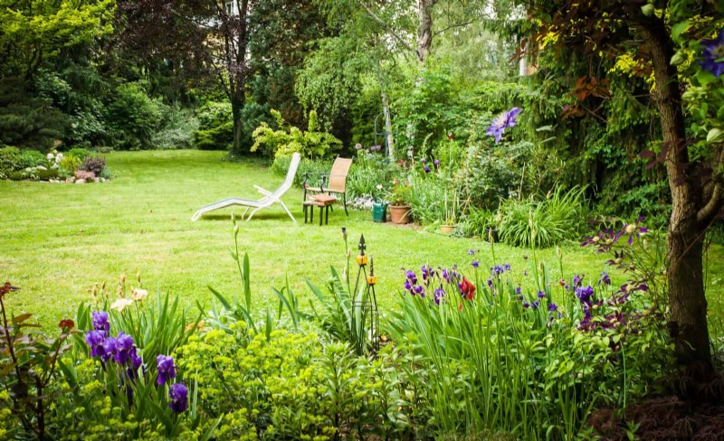 Why Traditional Lawns Are Becoming Obsolete – 30 Proven Reasons and Sustainable Alternatives