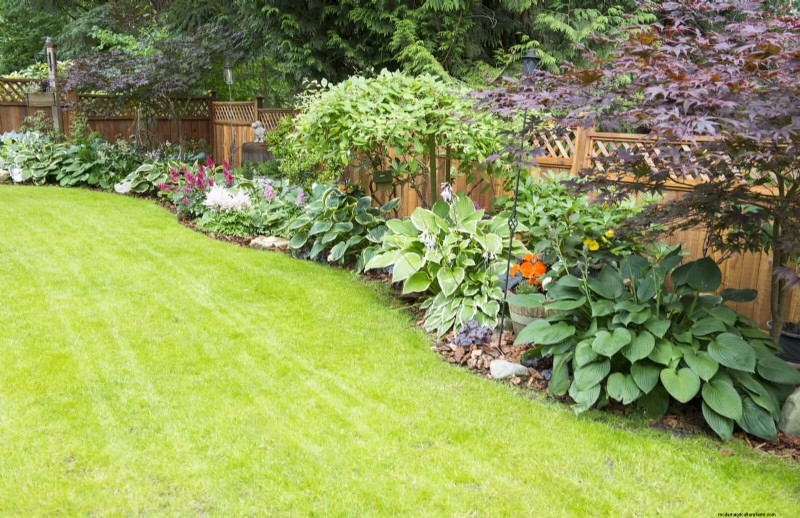 Why Traditional Lawns Are Becoming Obsolete – 30 Proven Reasons and Sustainable Alternatives