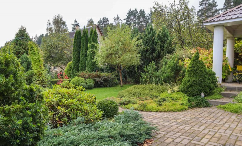 Why Traditional Lawns Are Becoming Obsolete – 30 Proven Reasons and Sustainable Alternatives