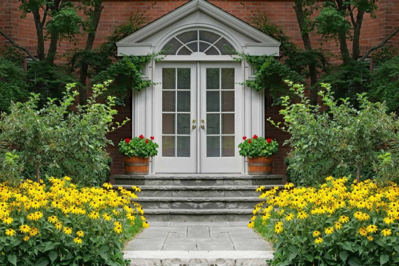 Why Traditional Lawns Are Becoming Obsolete – 30 Proven Reasons and Sustainable Alternatives