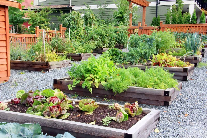 Why Traditional Lawns Are Becoming Obsolete – 30 Proven Reasons and Sustainable Alternatives