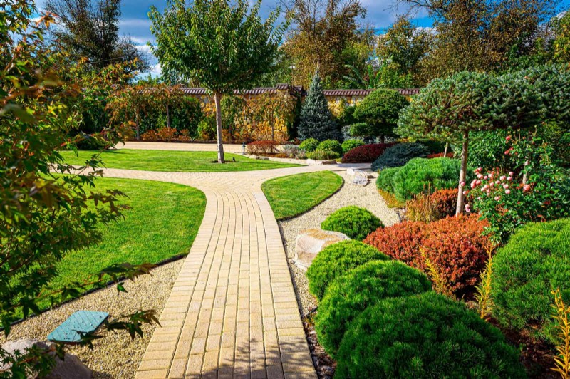 Why Traditional Lawns Are Becoming Obsolete – 30 Proven Reasons and Sustainable Alternatives