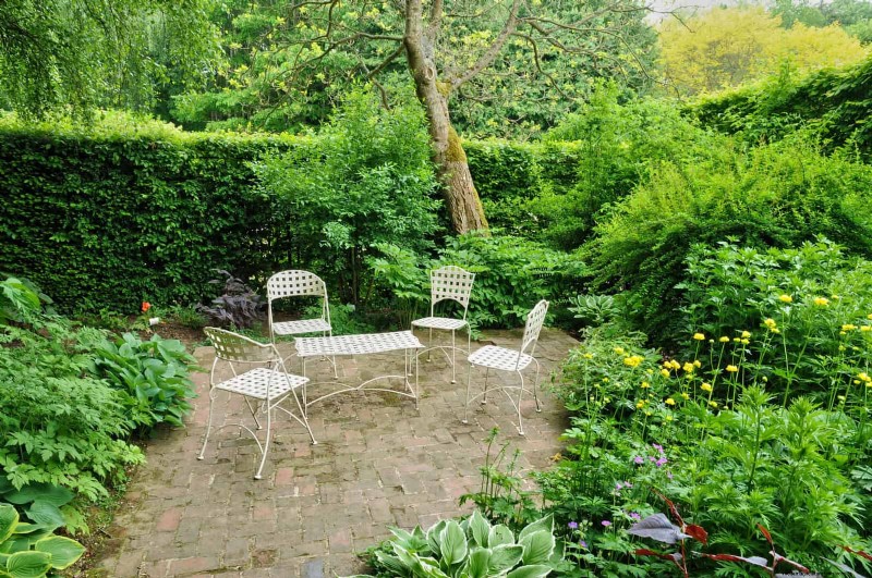 Why Traditional Lawns Are Becoming Obsolete – 30 Proven Reasons and Sustainable Alternatives