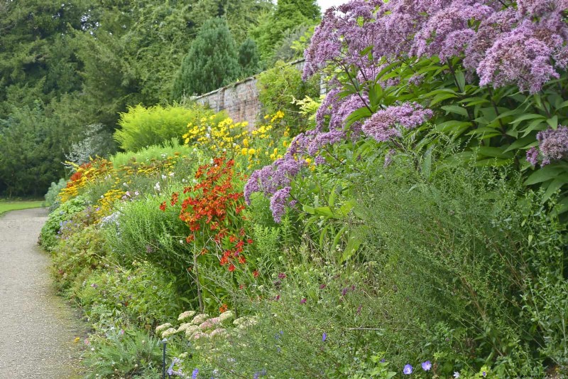 Why Traditional Lawns Are Becoming Obsolete – 30 Proven Reasons and Sustainable Alternatives