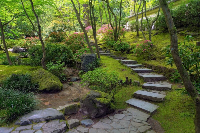 Why Traditional Lawns Are Becoming Obsolete – 30 Proven Reasons and Sustainable Alternatives
