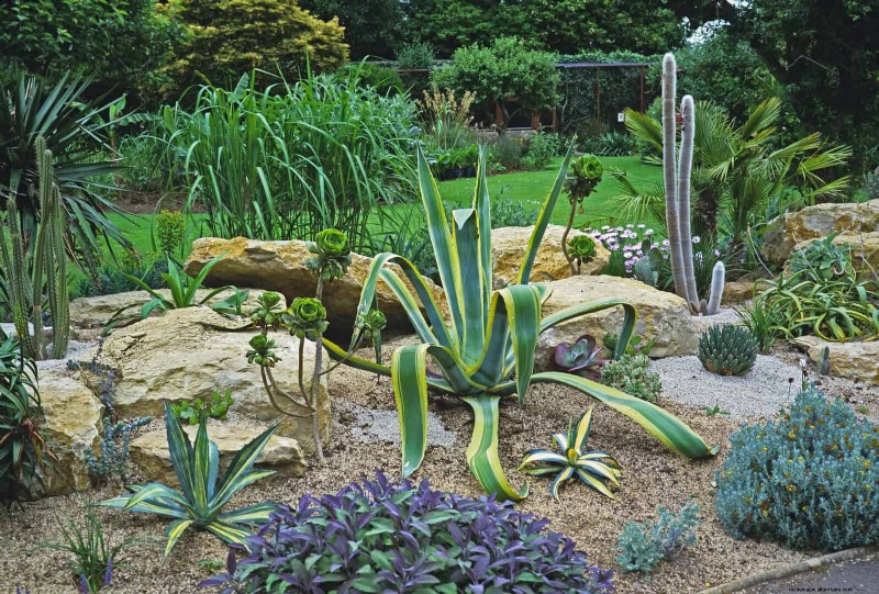 Why Traditional Lawns Are Becoming Obsolete – 30 Proven Reasons and Sustainable Alternatives