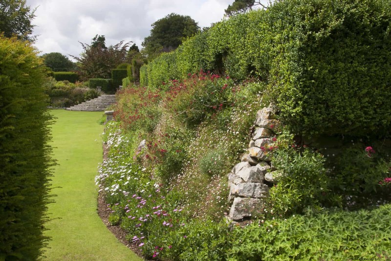 Why Traditional Lawns Are Becoming Obsolete – 30 Proven Reasons and Sustainable Alternatives