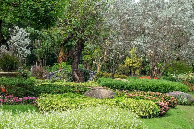 Why Traditional Lawns Are Becoming Obsolete – 30 Proven Reasons and Sustainable Alternatives