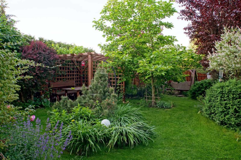 Why Traditional Lawns Are Becoming Obsolete – 30 Proven Reasons and Sustainable Alternatives