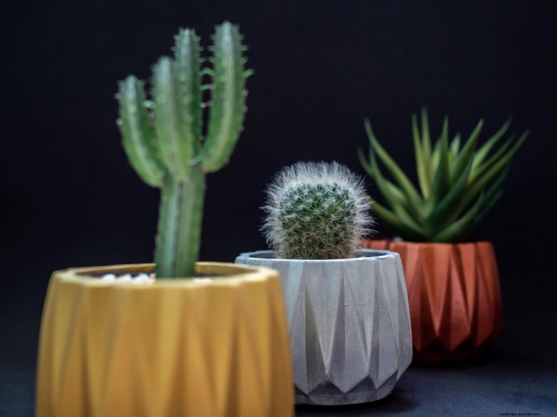 21 Designer‑Approved Ways to Seamlessly Blend Plants Into Modern Interiors