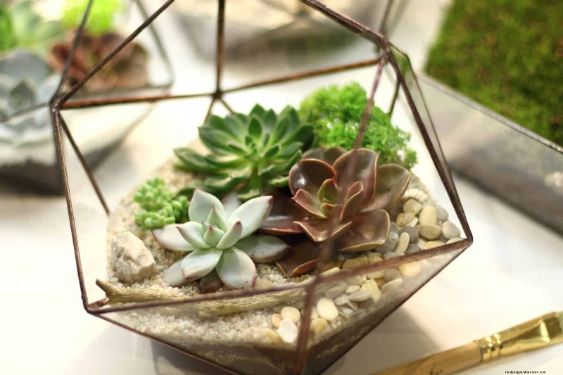 21 Designer‑Approved Ways to Seamlessly Blend Plants Into Modern Interiors