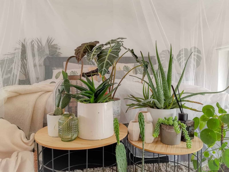 21 Designer‑Approved Ways to Seamlessly Blend Plants Into Modern Interiors