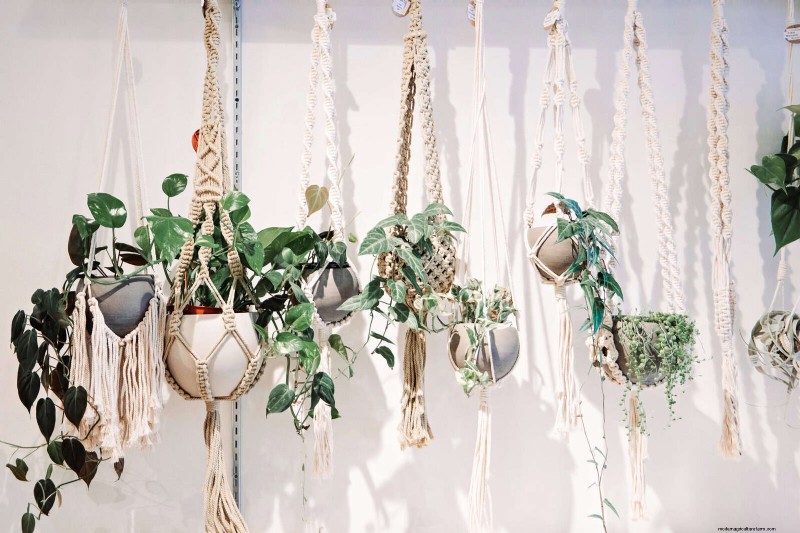21 Designer‑Approved Ways to Seamlessly Blend Plants Into Modern Interiors