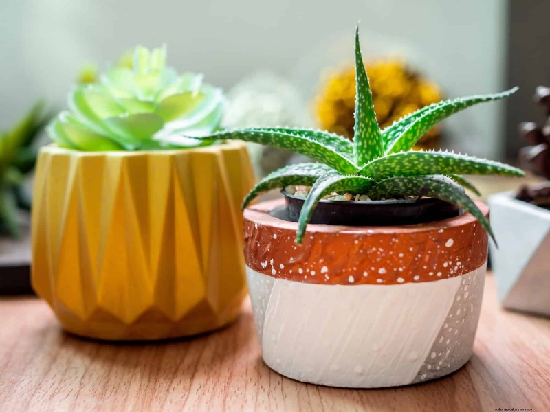 21 Designer‑Approved Ways to Seamlessly Blend Plants Into Modern Interiors