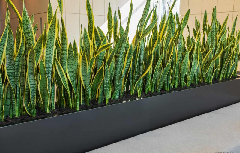 21 Designer‑Approved Ways to Seamlessly Blend Plants Into Modern Interiors
