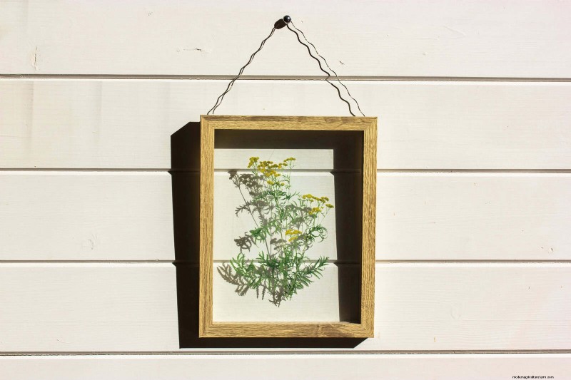21 Designer‑Approved Ways to Seamlessly Blend Plants Into Modern Interiors