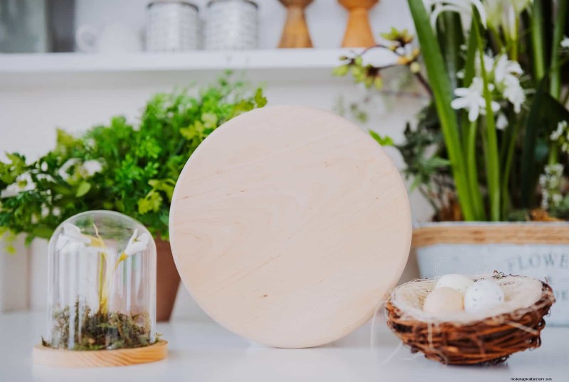 21 Designer‑Approved Ways to Seamlessly Blend Plants Into Modern Interiors