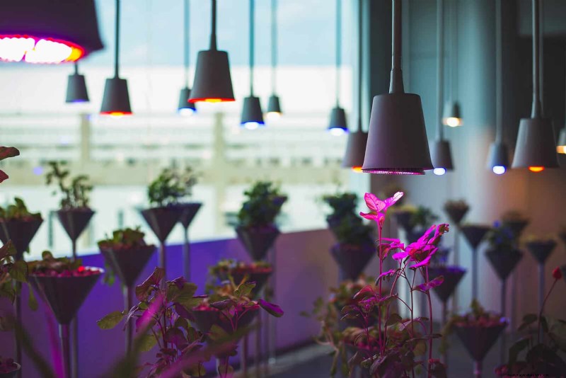 21 Designer‑Approved Ways to Seamlessly Blend Plants Into Modern Interiors
