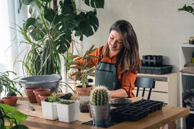 22 Proven Strategies to Accelerate Houseplant Growth