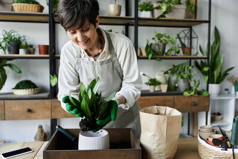 22 Proven Strategies to Accelerate Houseplant Growth