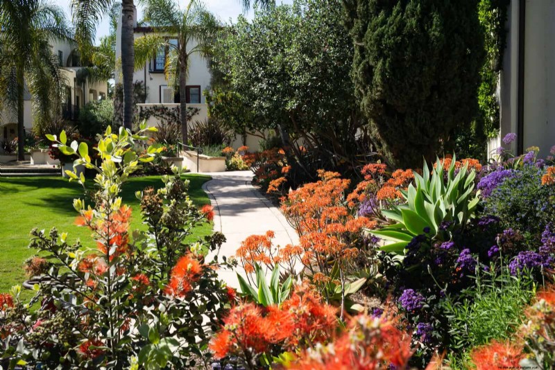 23 Proven Drought‑Tolerant Perennials That Create Stunning Low‑Water Gardens All Year Long