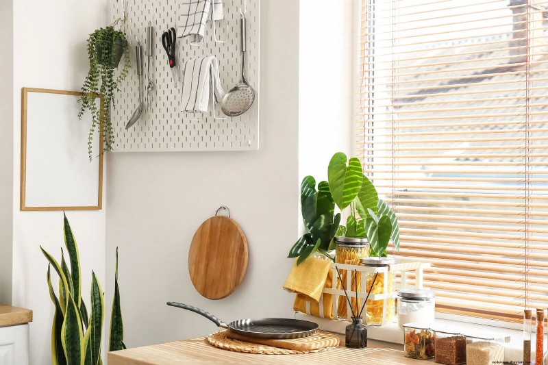 27 Expert Strategies to Revitalize Leggy Houseplants for Fuller Growth