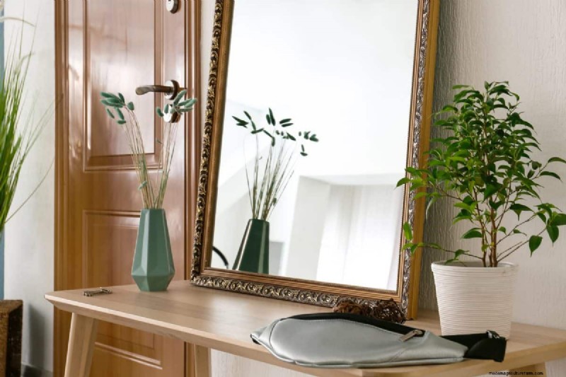 27 Expert Strategies to Revitalize Leggy Houseplants for Fuller Growth