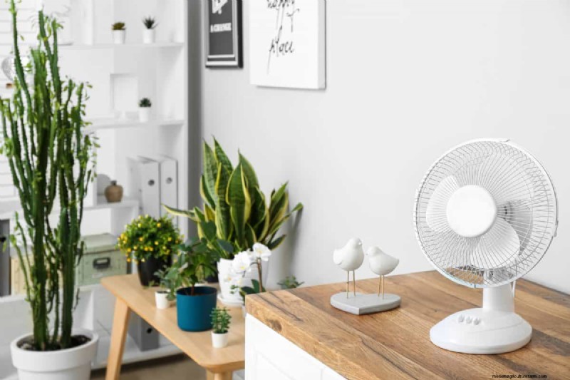 27 Expert Strategies to Revitalize Leggy Houseplants for Fuller Growth