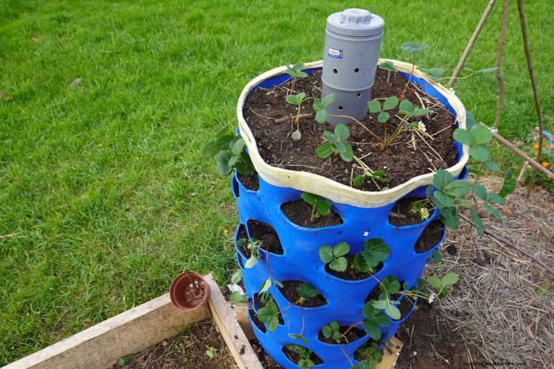 28 Creative Ideas to Repurpose Old Garden Tools into Stunning Outdoor Décor