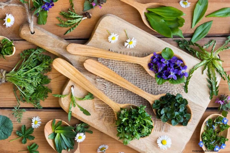24 Garden Weeds You Can Safely Eat – Identification, Nutrition, and Cooking Tips