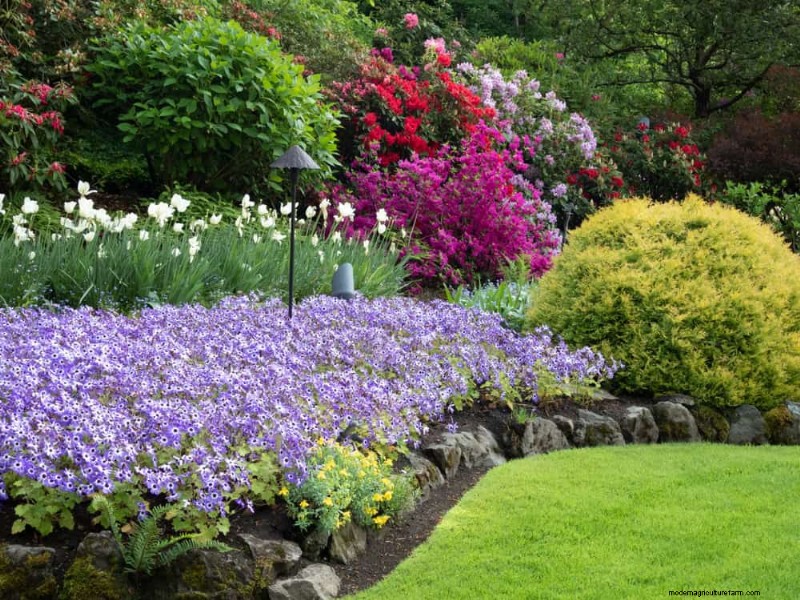 19 Stunning Perennials That Arrive First Each Spring