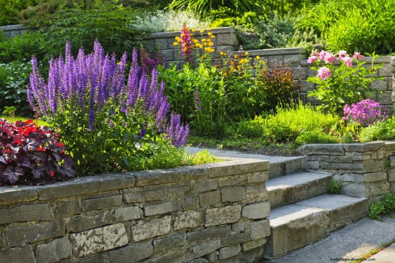 21 Incredibly Fragrant Plants to Fill Your Garden with Heavenly Scents