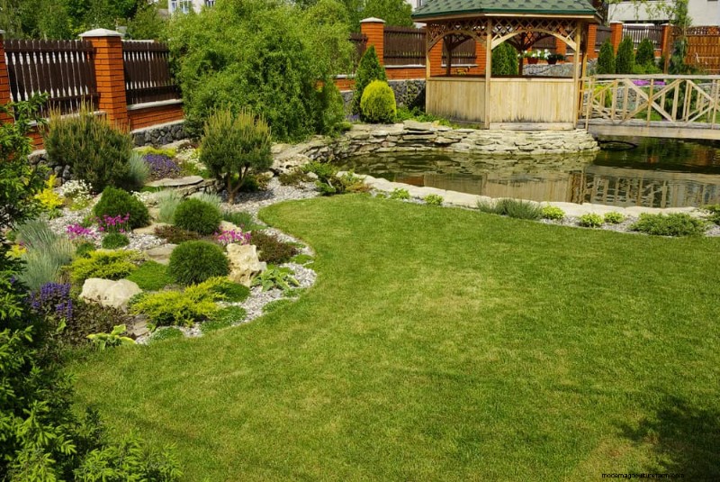 25 Essential Plants for a Tranquil Zen‑Inspired Backyard Oasis