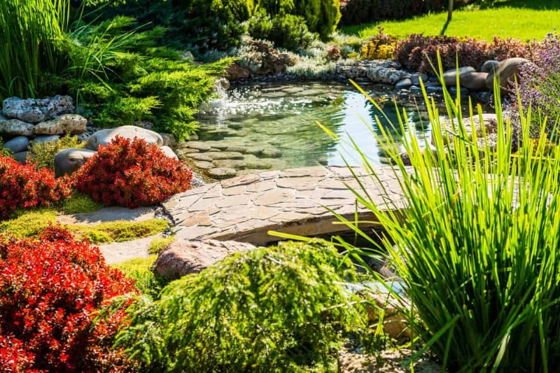25 Essential Plants for a Tranquil Zen‑Inspired Backyard Oasis