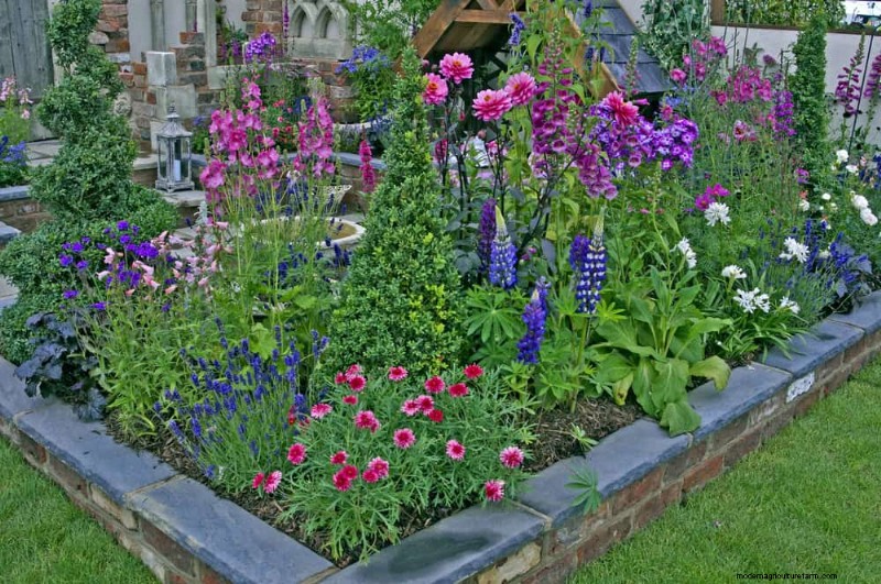 21 Proven Strategies to Transform Your Garden with Wildflowers