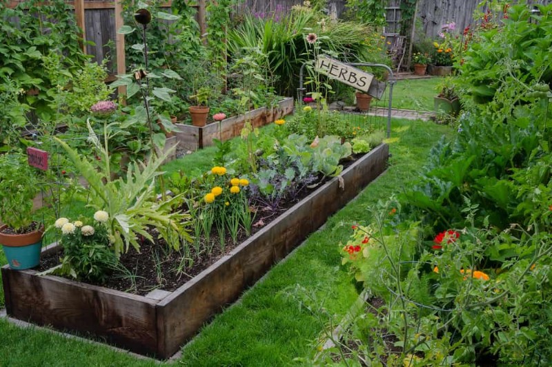 21 Proven Strategies to Transform Your Garden with Wildflowers