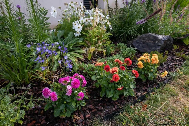 21 Proven Strategies to Transform Your Garden with Wildflowers