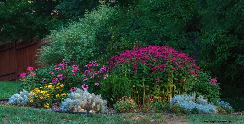 21 Proven Strategies to Transform Your Garden with Wildflowers
